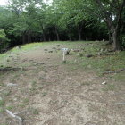 ③本丸
