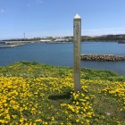 ヲンネモトチャシ平坦地
