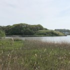 チャシ跡遠景