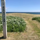 ノツカマフ２号チャシ