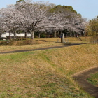 土橋