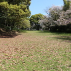 二之丸(奥)と茶色の部分は堀跡