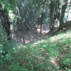 物見台手前から東の堀