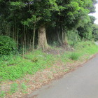 北側の土塁状遺構