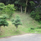 駐車場からの一風景
