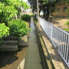 公民館右の水路