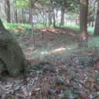 本殿背後の画像、分かりづらいが、土塁に見える