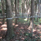 入口近くの右上、北から行ってみました