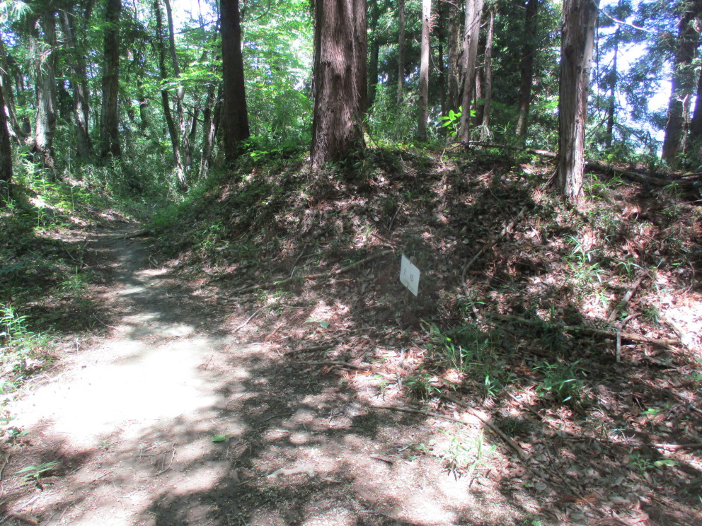 入口裏の土塁