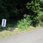 駐車場の少し北に散策路入口