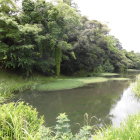 田町門跡付近の水堀