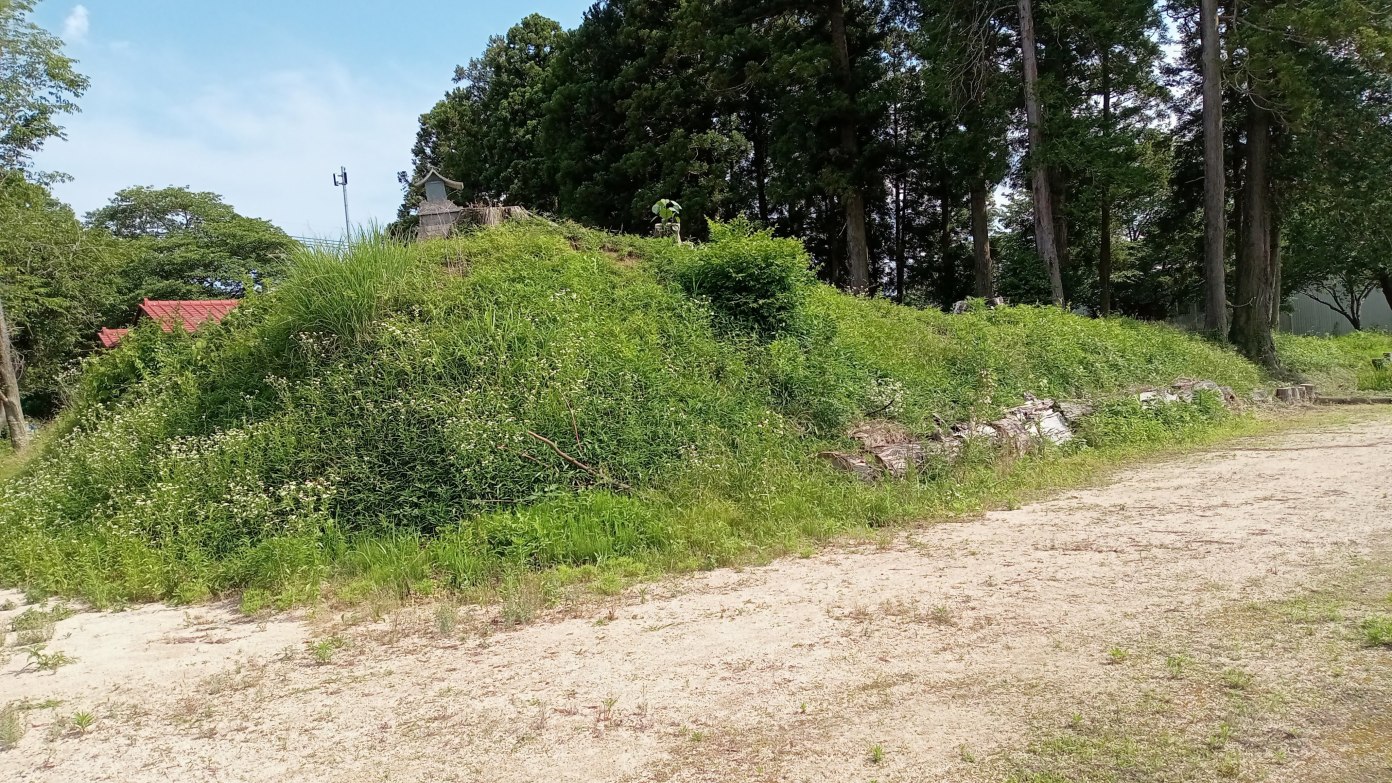 本丸北側の土塁(手前は水堀跡)