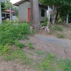 説明板付近(本丸が道路より若干高くなっている)