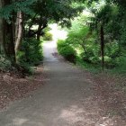 土橋