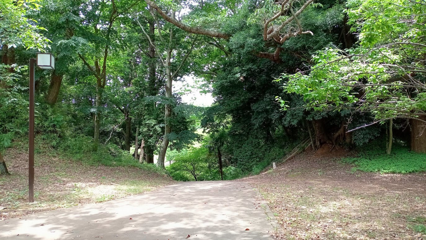 虎口(本郭）