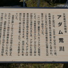 アダム荒川