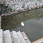 小屋もある