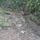 矢筈岳に向かう