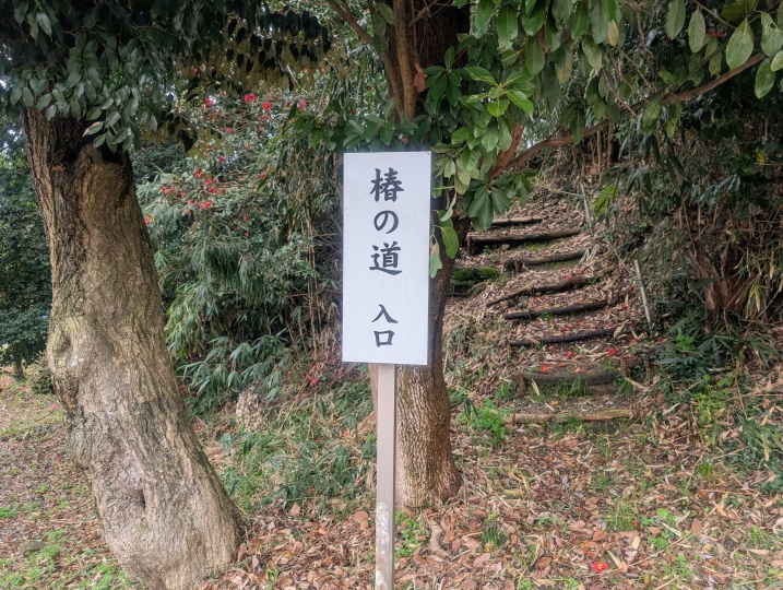 ここから入る