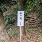 ここから入る