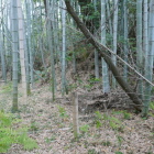 西郭　大土塁