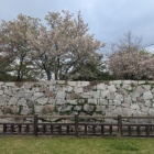 二の丸石垣