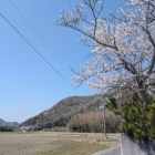 城址遠景