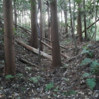 主郭周囲の堀・土塁