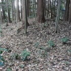 主郭東の土塁