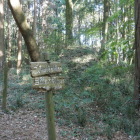 本丸土塁