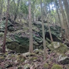 岩だらけ