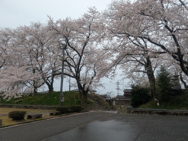 土塁が残っている