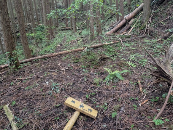 主郭南の馬場
