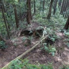 西尾根の堀切