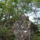 見張岩