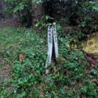 近道とな