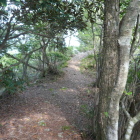 山頂近く