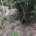 堀が続く