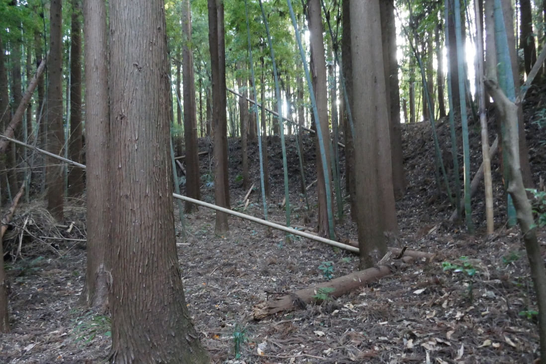 主郭南東の土塁