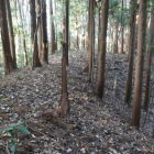 西側土塁