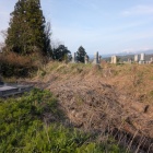 墓地に土塁が残る