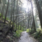 金剛山登山道より