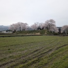 城址遠景