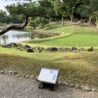 江戸時代の田んぼ再現地