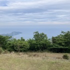 帰り道にて真鶴半島を眺める
