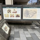 勝家、お市、娘三人および城の紹介