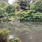 瓢池