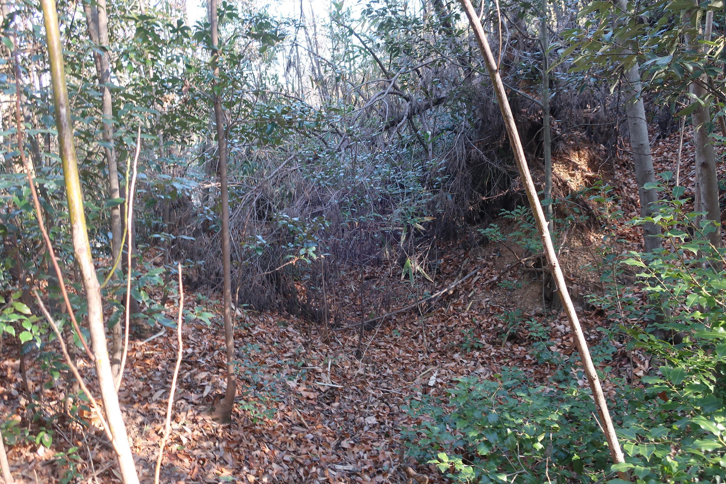 北田原城・南西曲輪の虎口