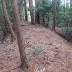 内堀と外堀の間の土塁