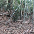 主郭南東隅の土塁